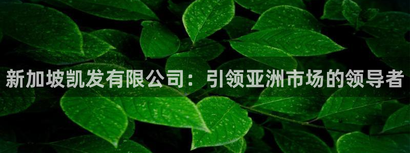 彩虹多多能源：新加坡凯发有限公司：引领亚洲市场的领导者