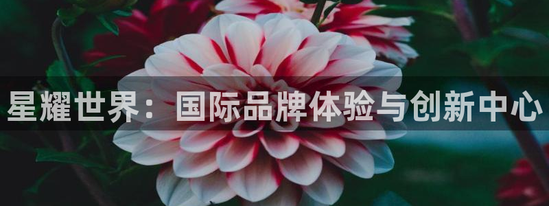 彩虹多多凯捷平台注册链接：星耀世界：国际品牌体验与创新中心