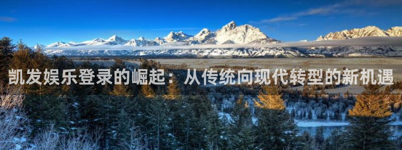 彩虹多多4开户：凯发娱乐登录的崛起：从传统向现代转型的新机遇