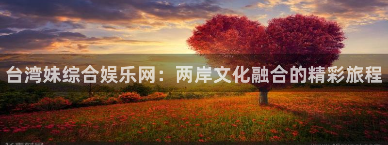 彩虹多多3平台登录注册：台湾妹综合娱乐网：两岸文化融合的精彩旅程