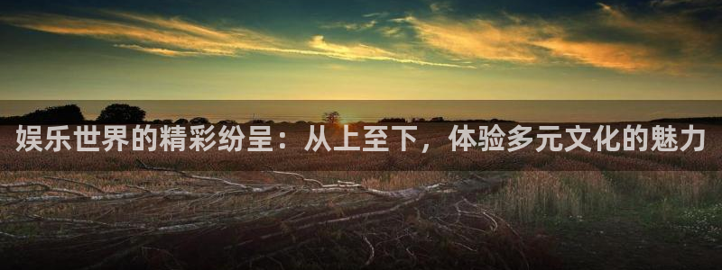 彩虹多多登录：娱乐世界的精彩纷呈：从上至下，体验多元文化的魅力