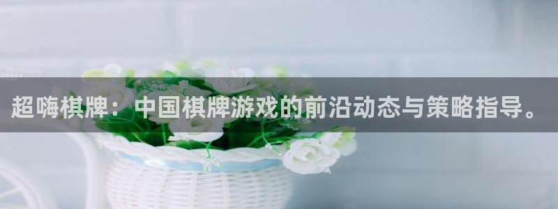 彩虹多多体育老板是谁：超嗨棋牌：中国棋牌游戏的前沿动态与策略指导。
