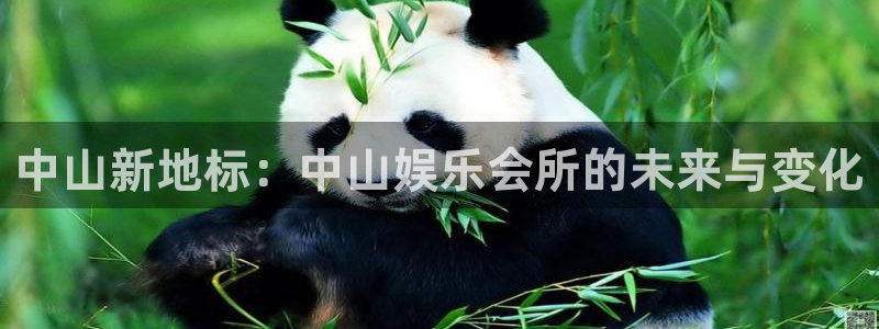 彩虹多多注册：中山新地标：中山娱乐会所的未来与变化
