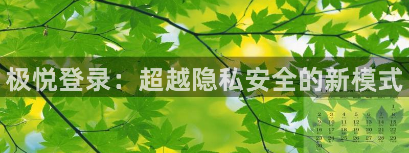 彩虹多多体育3在线注册：极悦登录：超越隐私安全的新模式