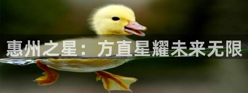彩虹多多集团官网：惠州之星：方直星耀未来无限