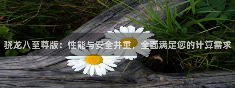 彩虹多多体育和杏耀是哪个公司的：骁龙八至尊版：性能与安全并重，全面满足您的计算需求
