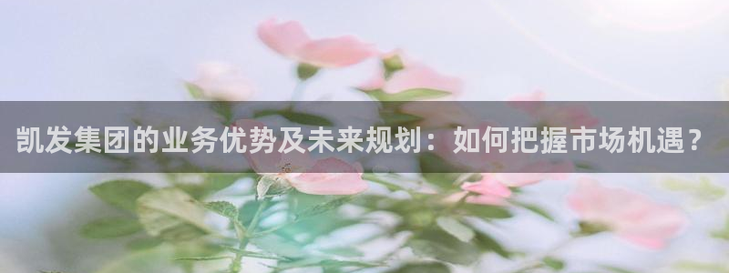彩虹多多凯捷平台：凯发集团的业务优势及未来规划：如何把握市场机遇？