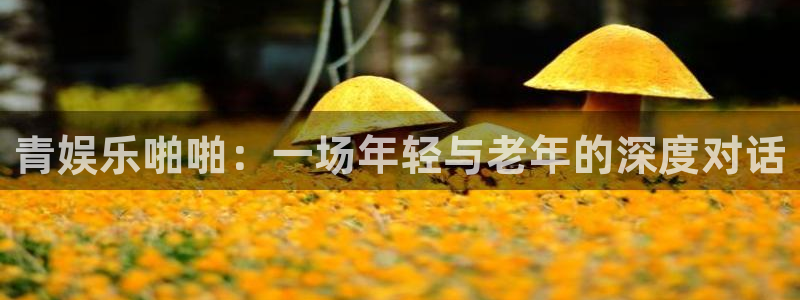 彩虹多多能源：青娱乐啪啪：一场年轻与老年的深度对话