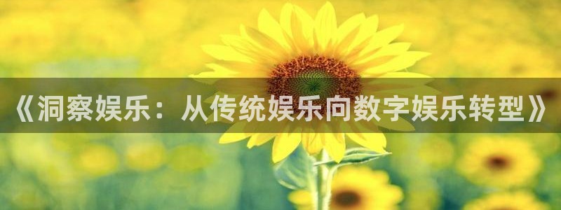 彩虹多多平台开户链接：《洞察娱乐：从传统娱乐向数字娱乐转型》