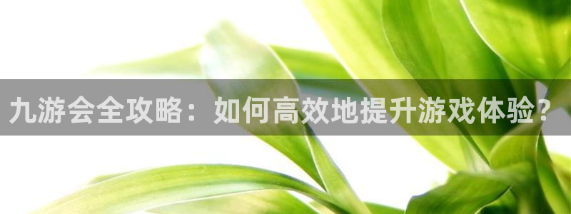 彩虹多多体育游戏：九游会全攻略：如何高效地提升游戏体验？
