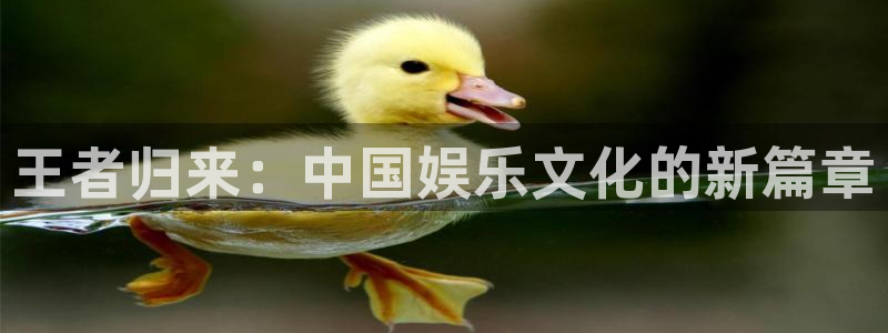 彩虹多多体育合法嘛：王者归来：中国娱乐文化的新篇章