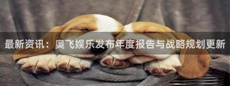 彩虹多多2平台注册：最新资讯：奥飞娱乐发布年度报告与战略规划更新