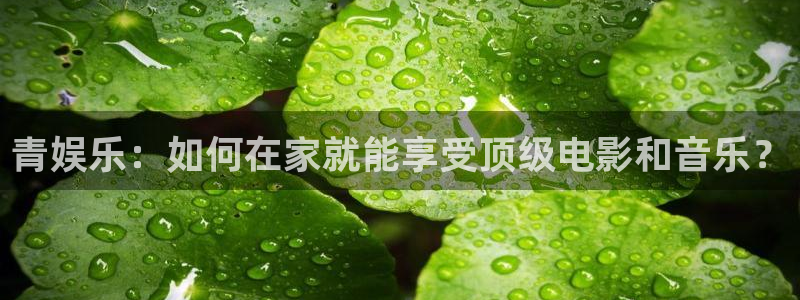 彩虹多多平台官网：青娱乐：如何在家就能享受顶级电影和音乐？