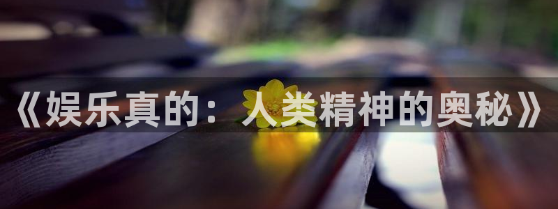 彩虹多多体育老板是谁：《娱乐真的：人类精神的奥秘》