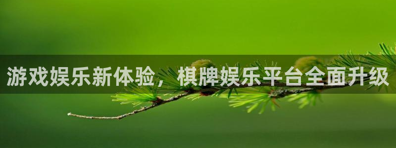 彩虹多多包怎么样：游戏娱乐新体验，棋牌娱乐平台全面升级