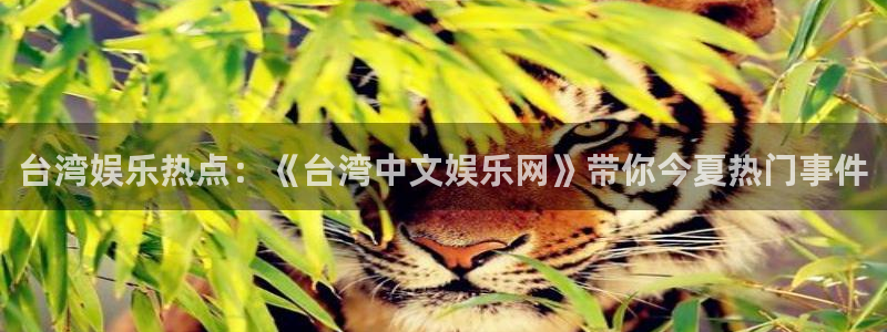 彩虹多多招商：台湾娱乐热点：《台湾中文娱乐网》带你今夏热门事件