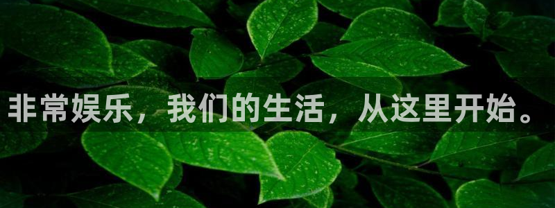 彩虹多多平台：非常娱乐，我们的生活，从这里开始。