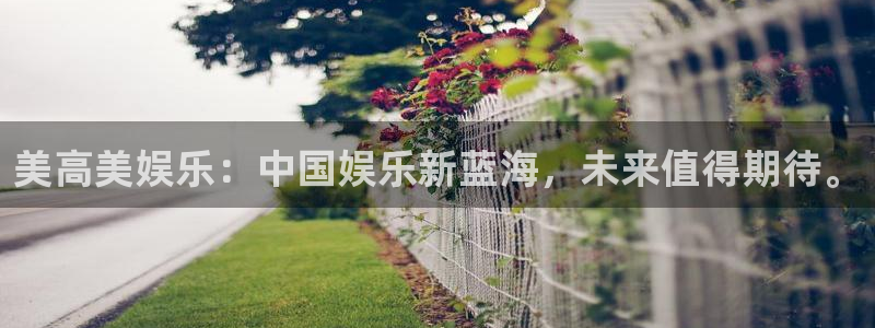 彩虹多多体育和杏耀是哪个公司的：美高美娱乐：中国娱乐新蓝海，未来值得期待。