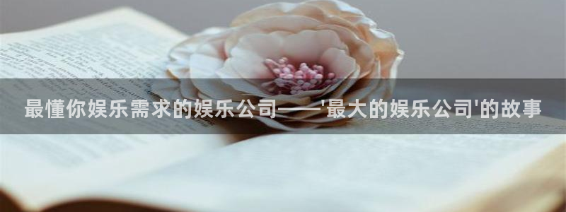彩虹多多2体育登录入口：最懂你娱乐需求的娱乐公司——\'最大的娱乐公司\'的故事