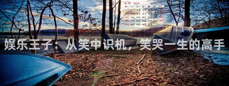 彩虹多多集团官网：娱乐王子：从笑中识机，笑哭一生的高手