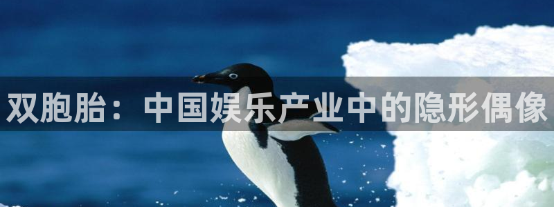 彩虹多多体育官网：双胞胎：中国娱乐产业中的隐形偶像