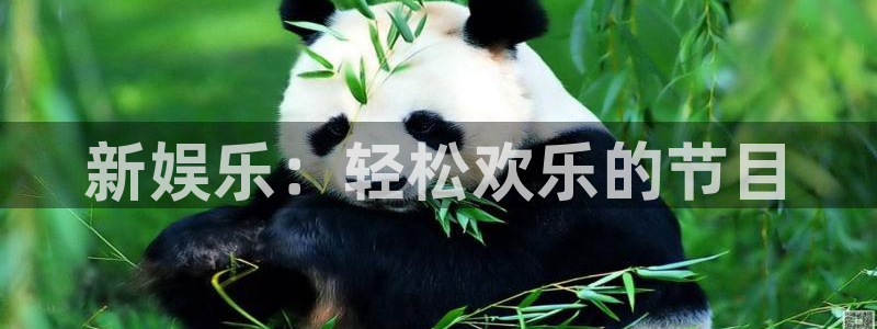 彩虹多多f平台注册：新娱乐：轻松欢乐的节目