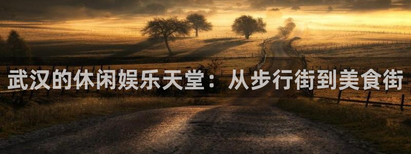 彩虹多多凯捷注册：武汉的休闲娱乐天堂：从步行街到美食街