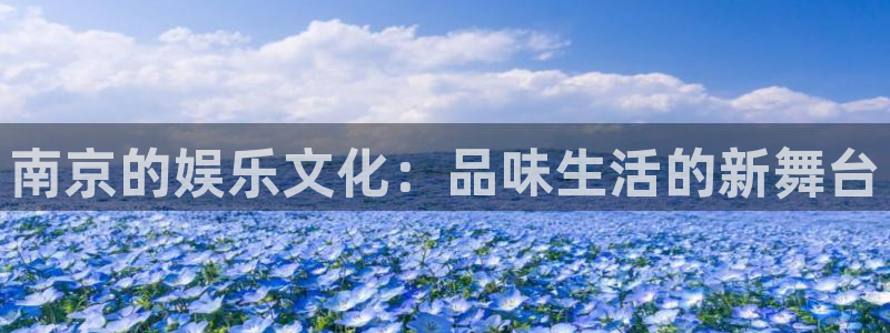 彩虹多多体育老板是谁：南京的娱乐文化：品味生活的新舞台