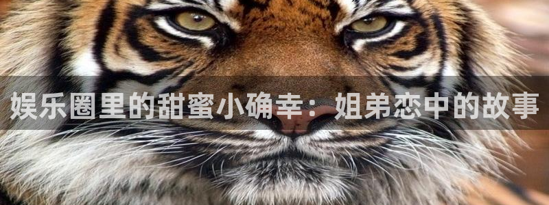 彩虹多多包怎么样：娱乐圈里的甜蜜小确幸：姐弟恋中的故事