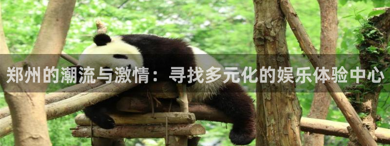 彩虹多多体育游戏：郑州的潮流与激情：寻找多元化的娱乐体验中心