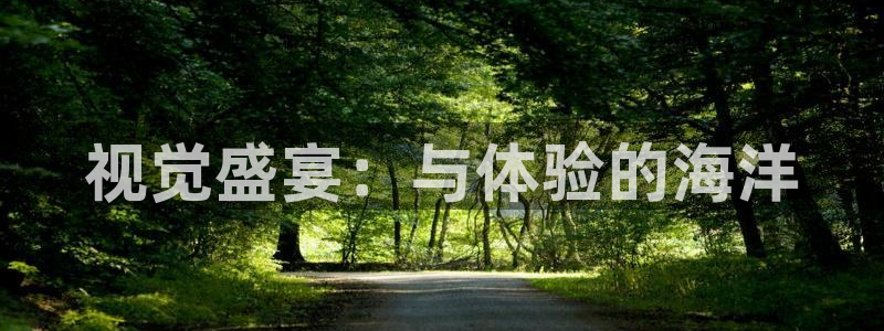 彩虹多多平台注册入口：视觉盛宴：与体验的海洋