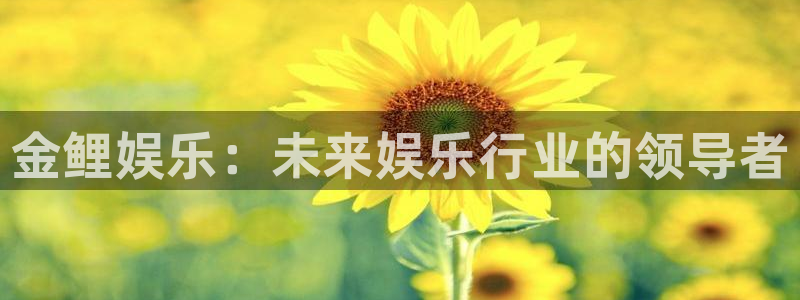 彩虹多多平台：金鲤娱乐：未来娱乐行业的领导者