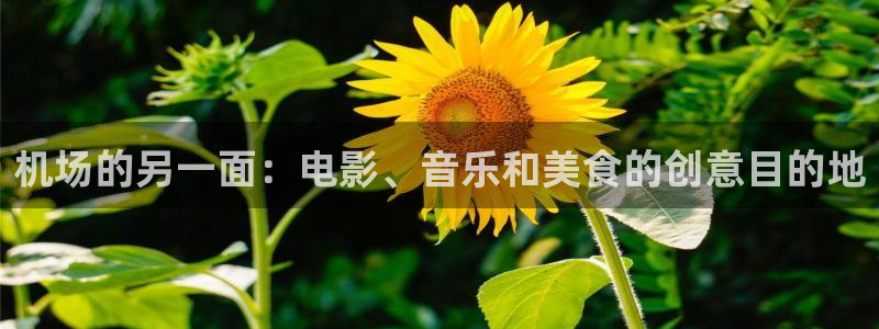 彩虹多多体育凯捷代理注册：机场的另一面：电影、音乐和美食的创意目的地
