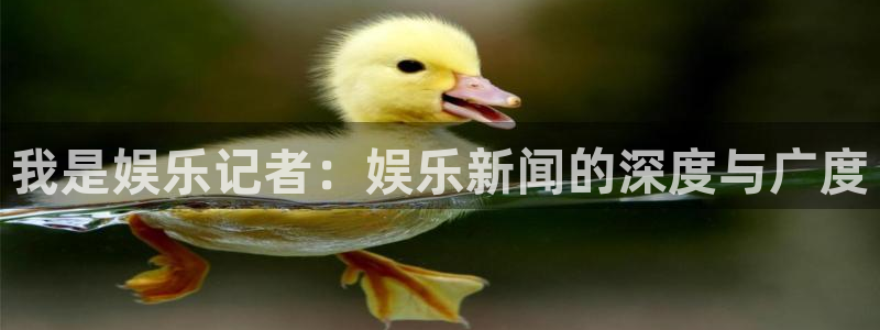彩虹多多平台注册入口：我是娱乐记者：娱乐新闻的深度与广度